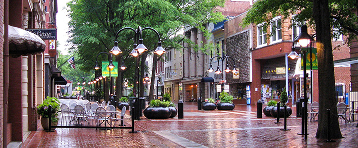 Virtual Town Hall Tour: Town of Vienna, Virginia Post Image