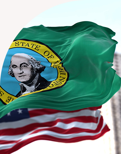 Washington State Flag